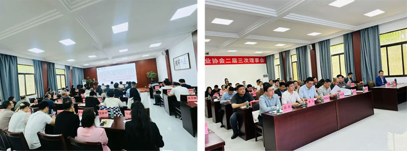 凝聚共识、共促发展--南京市社会培训行业协会二届三次理事会圆满召开